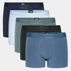 JBS 5 par bambus underbukser blå/grå mix* Underbukser