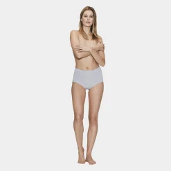 JBS of Denmark Grå maxi trusser til kvinder i høj hvalitet fra*Dame Trusser